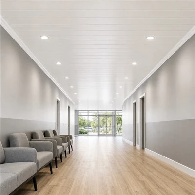 Ceiling Cladding Panel